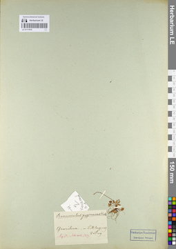 LE 01111816