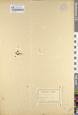 LE 01111830