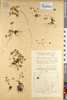 LE 01111833