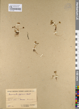 LE 01111844