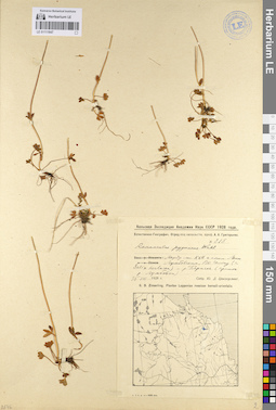 LE 01111847