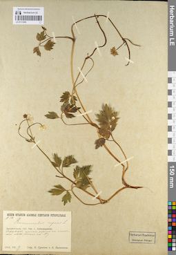 LE 01111859
