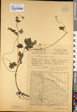 LE 01111878