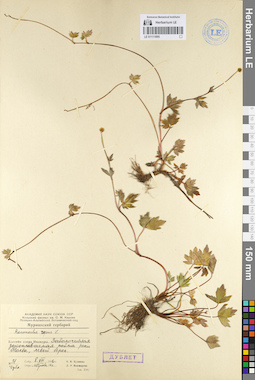 LE 01111895