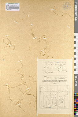 LE 01111919
