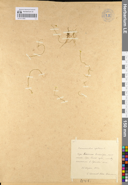 LE 01111922