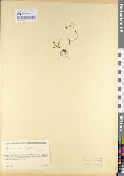 LE 01111926