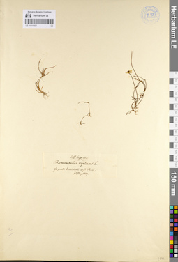 LE 01111927
