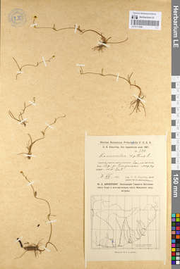 LE 01111928