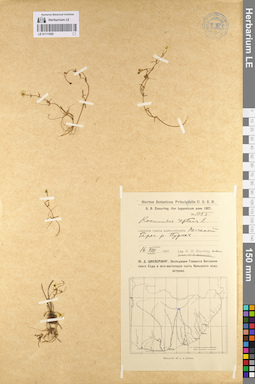 LE 01111929