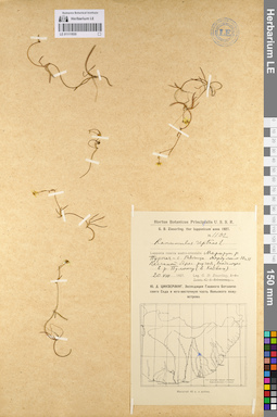 LE 01111930