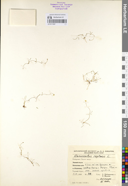 LE 01111937
