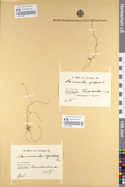 LE 01111936