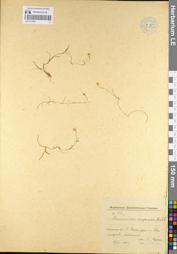 LE 01111939