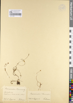 LE 01111943