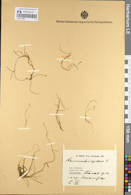 LE 01111945
