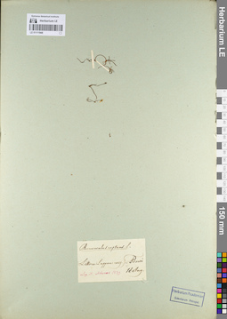LE 01111948