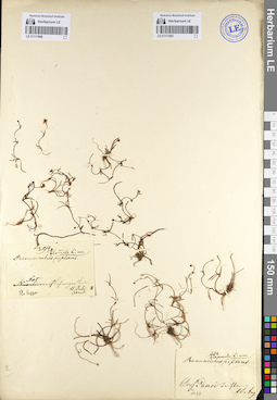 LE 01111967