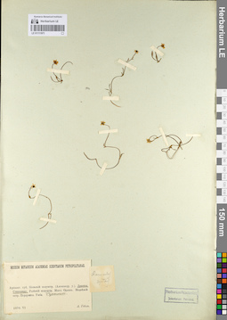 LE 01111971