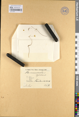 LE 01111974