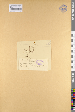 LE 01111975