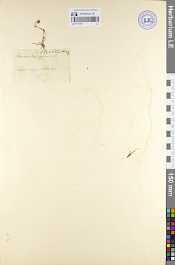 LE 01111977