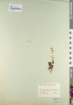 LE 01112023
