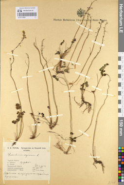 LE 01112025