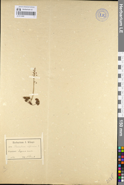 LE 01112029
