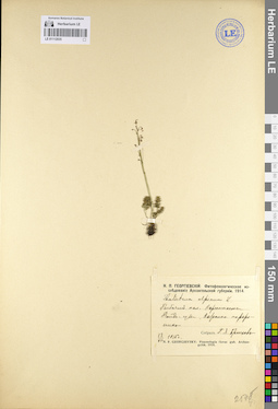 LE 01112035
