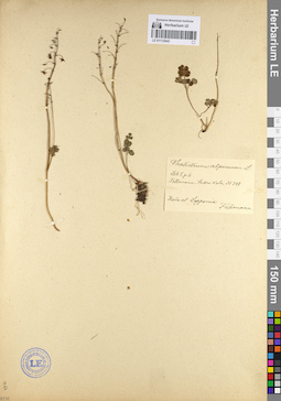 LE 01112043