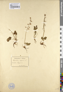LE 01112045