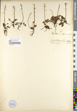 LE 01112049