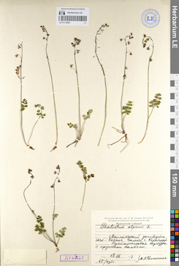 LE 01112067