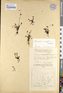 LE 01112908
