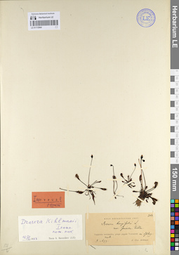 LE 01112944