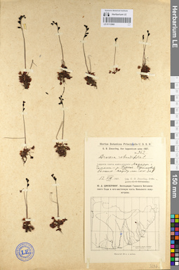 LE 01112960