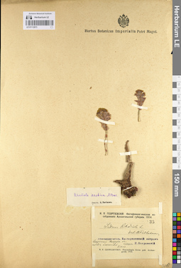 LE 01112973