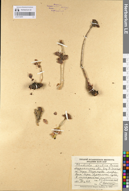 LE 01112975