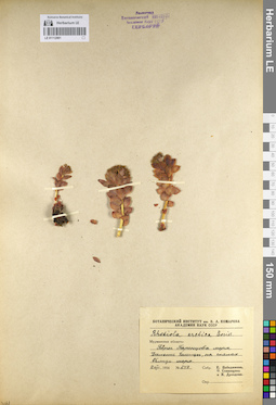 LE 01112991