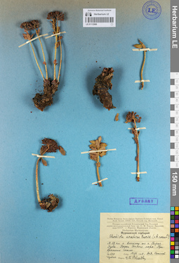LE 01112999