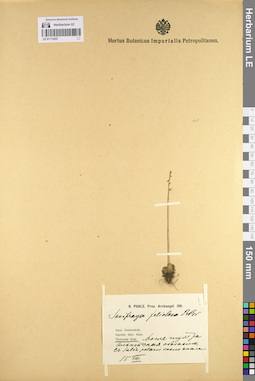 LE 01113257