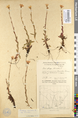 LE 01113285