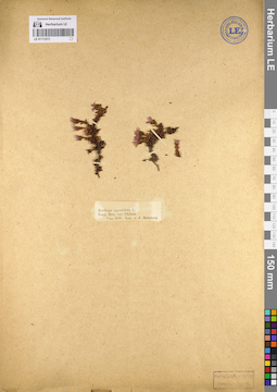 LE 01113373