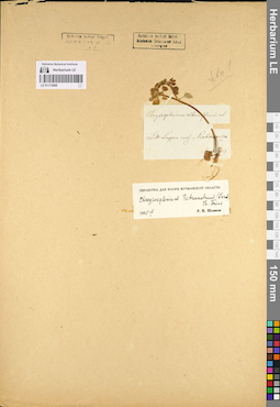 LE 01113660
