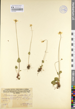 LE 01113672