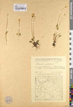 LE 01113702