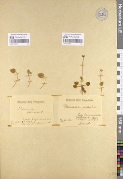 LE 01113770