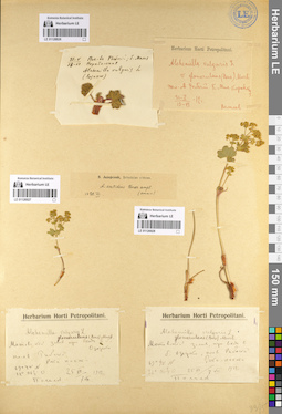 LE 01126927