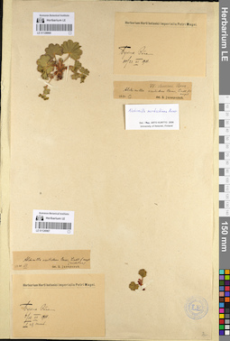LE 01126967